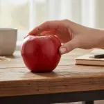 GTIN-0000000074841-04