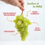 GTIN-7428630104685-03