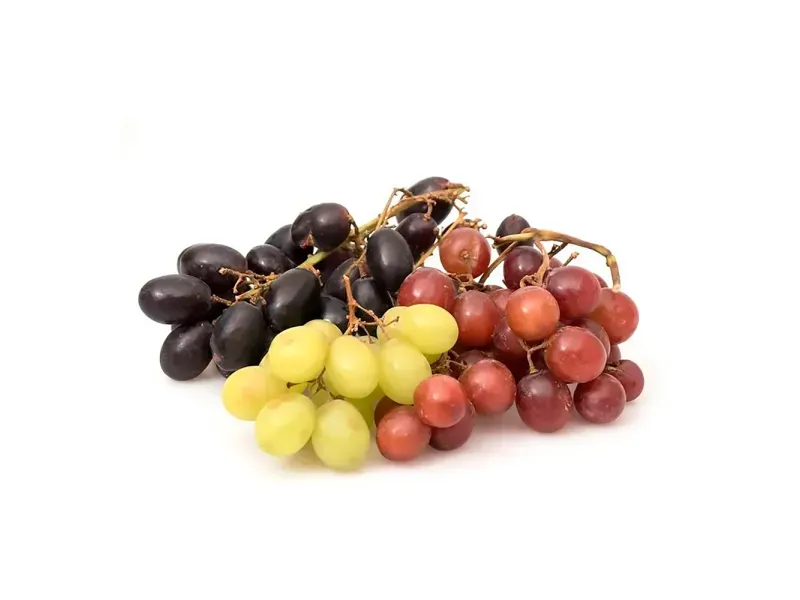 GTIN-7428630140164-02