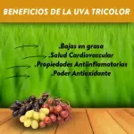 GTIN-7428630140164-03