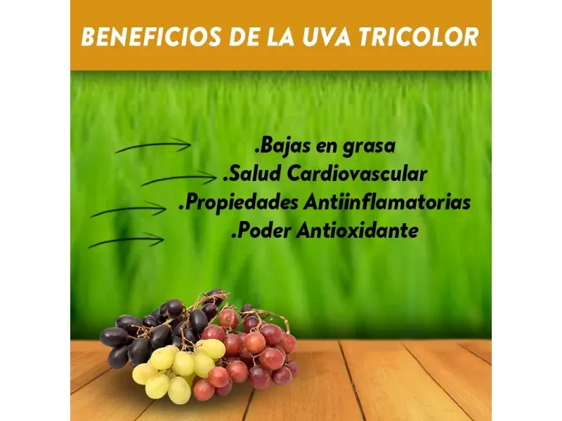 GTIN-7428630140164-03