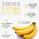 000000000009413650-UN-03