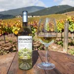 GTIN-7804619040487-04