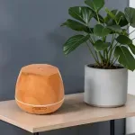 GTIN-6928162019583-06