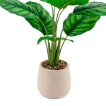 GTIN-6974221245301-02