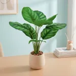 GTIN-6974221245301-03