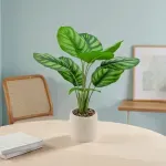 GTIN-6974221245301-04