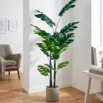 GTIN-6974221247558-03