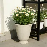 GTIN-0886120026164-06