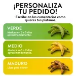 GTIN-0000000042352-02