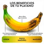 GTIN-0000000042352-03