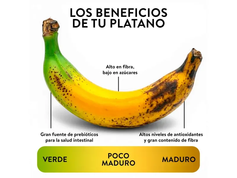 GTIN-0000000042352-03