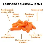 GTIN-0608312005791-03