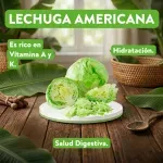GTIN-0738777080849-03