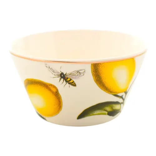 Ms Bowl Con Diseo Limon 5