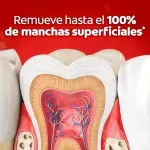 GTIN-7509546065878-07