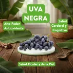 GTIN-0000000049573-03