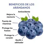 GTIN-0033383222288-03