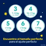 GTIN-0037000775836-08