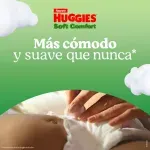 000000000075479481-UN-02