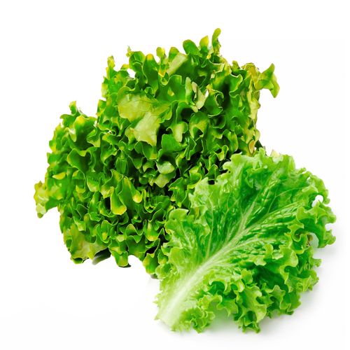 Lechuga Mix Bolsa 300 Gramos