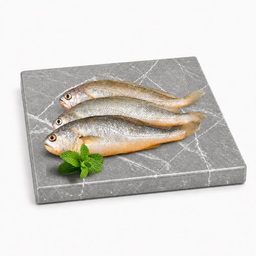 Pescado Plateado  Congelado Granel - lb