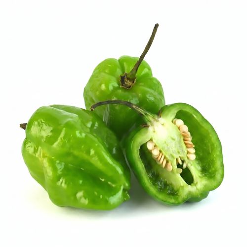 Chile Habanero Bandeja Media Lb
