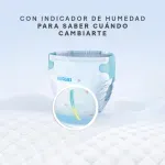 GTIN-7809604031525-08