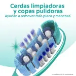 GTIN-7891024316191-10