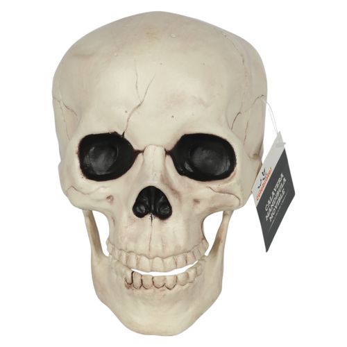 Calavera Seasons HK mandíbula movible decorativa Halloween