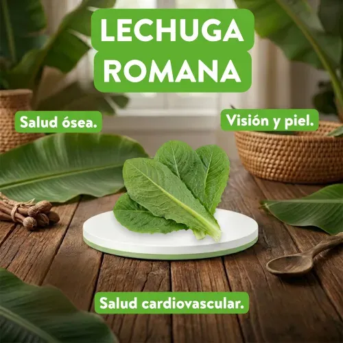 Lechuga Romana La Carreta Embolsada - Precio indicado por unidad