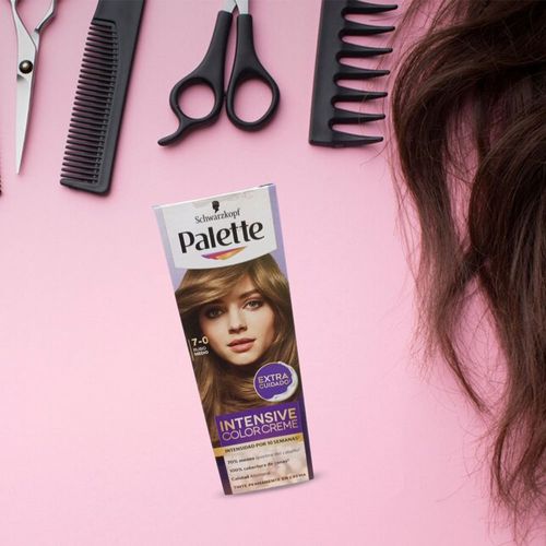 Tinte Palette Morado Semi 70 50 ml