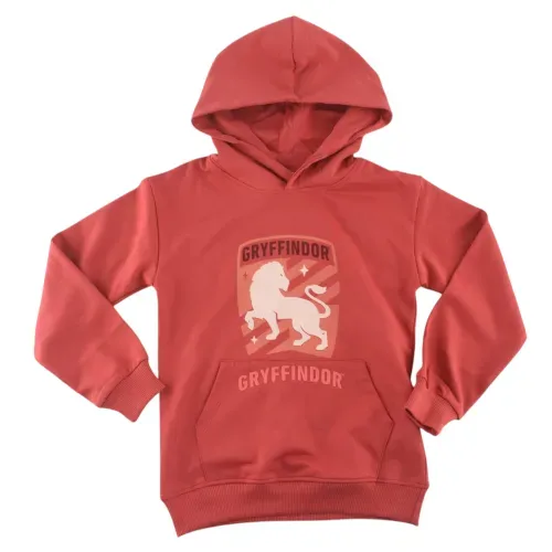 Hoodie Nino Harry Potter