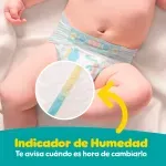 GTIN-0037000623021-08