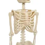 GTIN-6977039599284-06