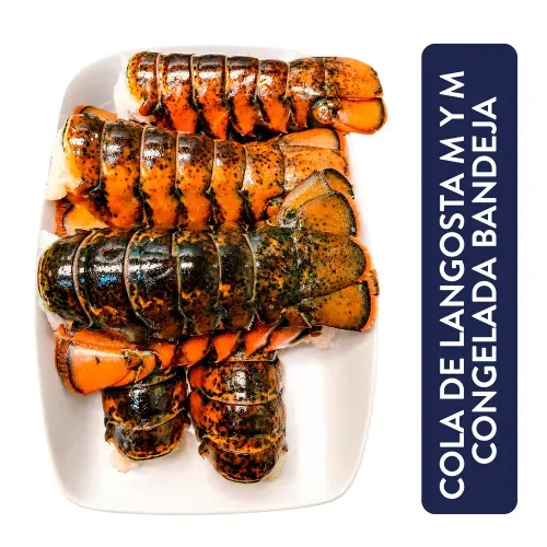 Cola De Langosta Mym Congelado Bandeja - Precio Indicado por libra