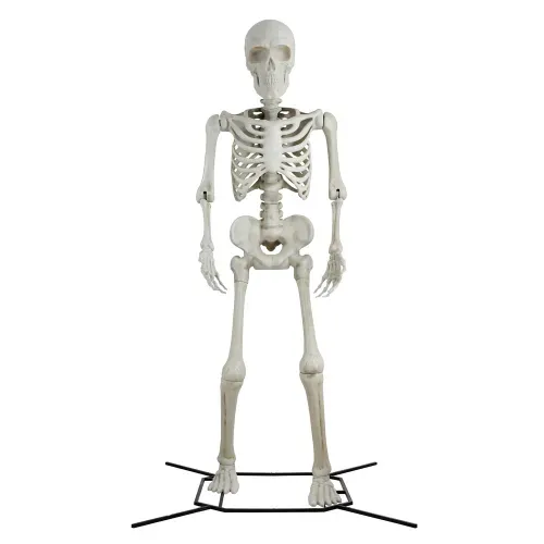 Esqueleto Way To Celebrate gigante decorativo Halloween - 3 metros
