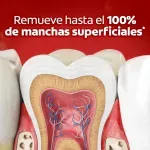 GTIN-7509546698137-03