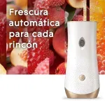 GTIN-7503053774773-04