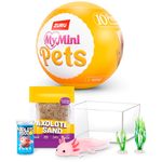 img_04