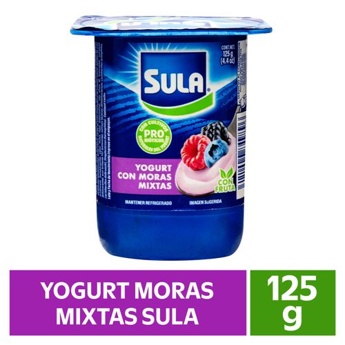Yogurt Moras Mixtas Sula Bisignan - 125 g