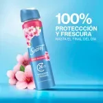 GTIN-7500435250689-02