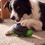 img_07