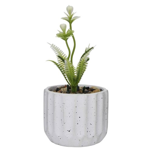 Maceta Deocrativa c Plantas Home Dollar