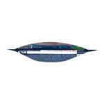GTIN-7501072209900-04