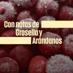 GTIN-7501032900939-06