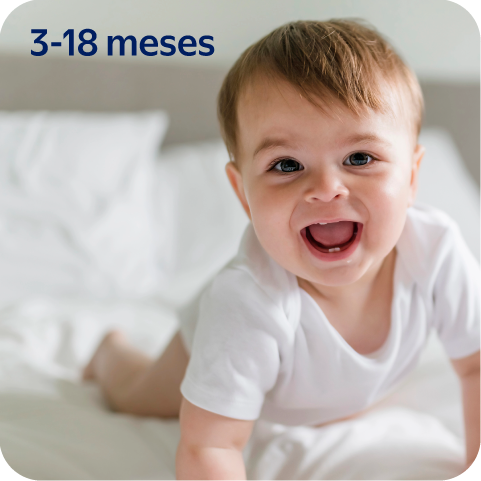 Productos para bebés activos que no  paran de explorar